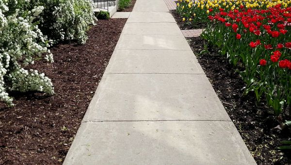Cost of Cement Sidewalk Installation in Eagle